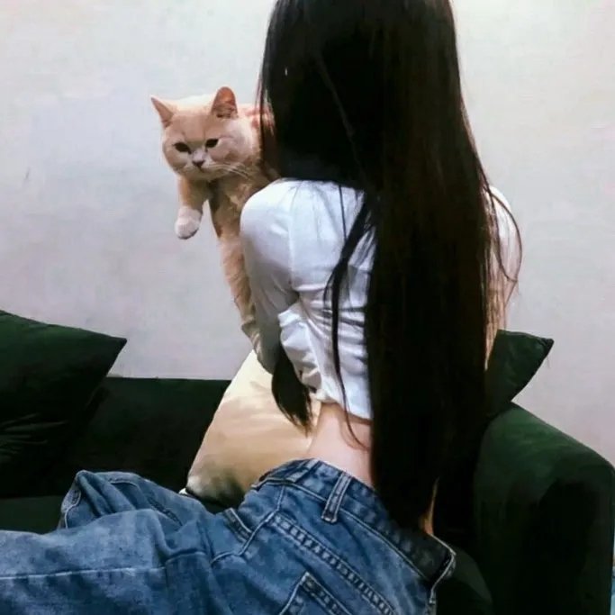 失眠的解药